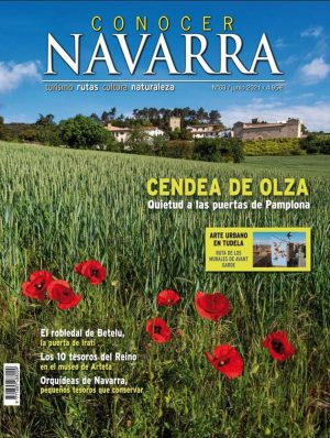 Revista Conocer Navarra - Palacio de Olza